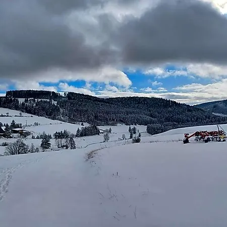 Blockhaustraum Lodge Titisee-Neustadt