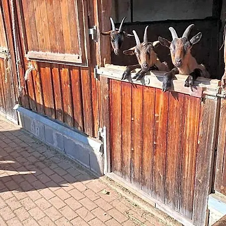 Blockhaustraum Lodge *